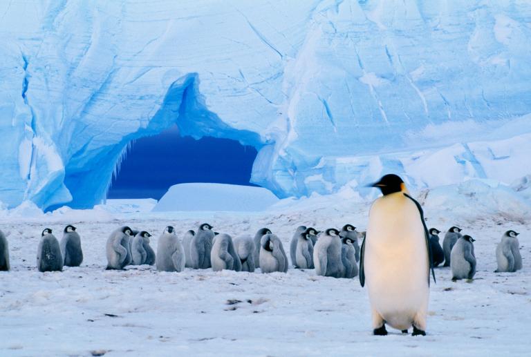 worldslargestmarineprotectedareadeclaredinantarctica